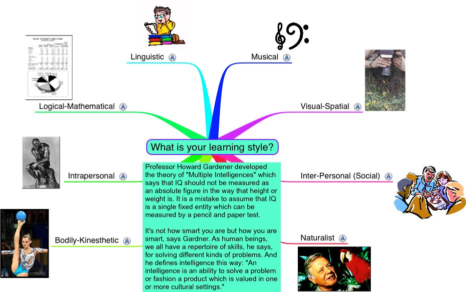 Diffrentes intelligences